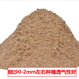 纯天然河沙细沙多肉种植种花沙子乌龟冬眠沙鱼缸沙建筑沙水族造景 9-10斤细沙