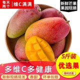集年鲜海南贵妃芒果整箱当季热带正宗红金龙甜心多汁芒果新鲜水果 净重4.5斤特选大果 单果200g起
