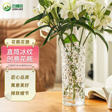 吕姆克花瓶插花瓶玻璃花瓶客厅茶几玄关摆件鲜花干花假花仿真花容器5639