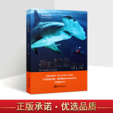 我的鲨鱼朋友 周芳 宣传环保理念书籍 保护海洋动物人与自然共生的新发展理念