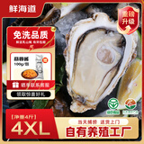 鲜海道【品质】鲜海道生态生蚝  乳山牡蛎 活鲜海蛎子生鲜贝类 品质升级4XL净重4斤（8-11只））