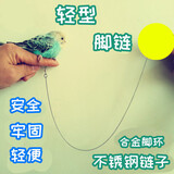 不锈钢鹦鹉脚链脚环鸟链子虎皮八哥牡丹玄凤伯劳太阳和尚凯克折衷葵花灰鹦鹉鸟环开口活扣站架用品宠物牵引绳 细链加4号脚环【总长一米】