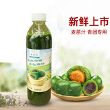 乔康小麦苗汁500ml麦青汁青团子专用汁 发京东 500mL*1瓶