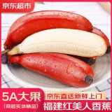 优味集红皮香蕉水果5斤红美人芭蕉粉蕉香苹小果米3斤福建当季孕妇水果 1500g 净重装（40%选择-性价比）