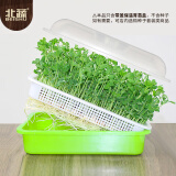 北蔬 育苗盘育苗发芽盆水培蔬菜保温带盖苗菜无土栽培 加深育苗盘2个
