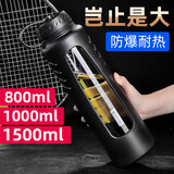 天喜（TIANXI） 玻璃杯超大容量便携水杯男女士双层塑玻杯防漏过滤防烫泡茶杯子 黑色 1500ml 1只