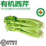 诸氏橙品【有机】西芹 可榨汁芹菜 生食沙拉食材炒菜百搭新鲜有机叶菜 有机西芹2.25KG-家庭惠享