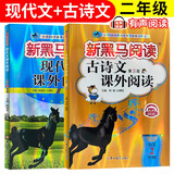 套装2册 新黑马阅读 小学二年级现代文课外阅读+古诗文课外阅读 小学语文阅读理解专项强化训练答题技巧答题模板必刷题练习册 现代文古诗文课外阅读理解