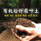 欧悟 通用型营养土 水苔 干苔藓 水藓 水草 压缩优质蝴蝶兰花专用基质 多肉专用营养土 种菜土肥料土 兰花专用腐叶土500g
