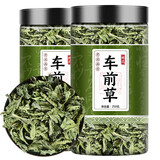 迎夏堂车前草新鲜中药材干货袋泡茶种子新货正宗干车前子金钱车轮草 车前草 250g*2罐