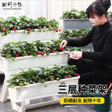 田间小径阳台种菜盆多层立体种菜花架子家庭蔬菜种植专用箱长方形花盆顶楼 三层种菜架 白色（送随机种子）