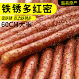 补诱农家自种年货红皮铁棍山药5斤正宗河南焦作特产新鲜紫怀淮山铁杆 铁棍多锈[60cm] 5斤 铁棍山药