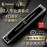 天鹅德国进口音簧天鹅24孔复音口琴成人初学者入门28孔重音专业演奏级 【专业大师调音】28孔黑色复音C调+伴奏U盘