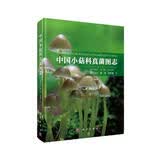 中国小菇科真菌图志