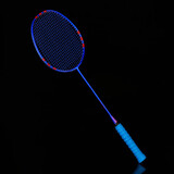 战羽ZHANYU羽毛球拍单拍铝碳小黑拍超轻进攻耐打初学训练专业比赛套装 ZY6801蓝色