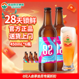 泰山啤酒泰山原浆啤酒28天鲜9度倒标全麦芽酿造啤酒整箱450ml*6瓶 450mL 6瓶 整箱装