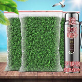 衫凌正宗铁观音2025春茶浓香型茶叶高山茶散装茶叶批发 袋装配800保温杯500克