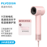 飞科（FLYCO）电吹风机高速家用轻音负离子大功率不伤发七夕礼物吹风筒宿舍便携送女生礼物 公主粉【配收纳包】