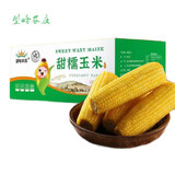 望哈农庄玉米望哈农庄东北甜糯黄玉米新鲜代餐非转基因超敏蛋白复合酶种植 黄玉米 200g 1箱10根每根约200g