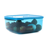 特百惠（Tupperware）欢宴备餐饭盒可微波加热便当盒带饭上班族餐盒可冷藏冷冻保鲜盒 欢宴备餐蓝色单个 1L