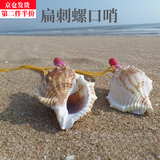 澳颜莱海螺号角海螺可吹喇叭口哨工艺品贝壳哨子吹响小螺号 扁刺螺号【6-9cm】