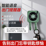 昙蓓漫出门提醒器 智能语音关门提示器防老人忘带钥匙关煤气门窗报警器 语音出门提醒器（配DC+无痕贴） 【复古绿】智能感应，带钥匙挂钩