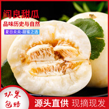 遇见悯农正宗陕西阎良甜瓜白香瓜甜瓜黄河蜜瓜黄金瓜黄金蜜生鲜新鲜水果 阎良甜瓜含箱9斤【量大价更优】 鲜甜蜜瓜【红白肉随机】