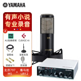 YAMAHA雅马哈UR12配音有声书录音专业设备套装喜马拉雅小说声卡外置录音棚吉他编曲 配北京797 M5大振膜电容麦套装