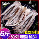 东上御品 新鲜鱿鱼须 鲜活冷冻二本足 章鱼须生鲜火锅烧烤串食材海鲜 6斤(净重)  高品质(去牙去眼）