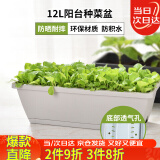 花沃里长方形花盆大号2个灰白/带1种子阳台种菜盆塑料花盆长条一体盆