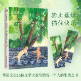 慢慢来，好戏都在烟火里 随书附赠趣味书签2枚（汪曾祺、梁实秋、丰子恺、沈从文等16位名家写给每一个人的生活之书。） 京东超级618