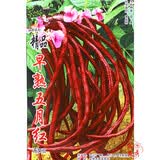 花友秀 无架豆  蔬菜种子菜籽 阳台种菜 盆栽 高出芽率精装 早熟五月红种子无架 原包装