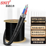 思诺亿舟（SNIT）SN-GYTA-12B1.3 电信级室外单模12芯光缆 铠装层绞式光钎光纤线 100米 