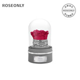 ROSEONLY诺誓星座独角兽抱抱龙永生花玫瑰花音乐球送女友生日情人节礼物 白羊座-音乐球-钟罩-守护色