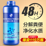 疯狂石头 【硝化细菌600ML装】水族养鱼硝化菌用品 鱼缸活性菌有益菌消化细菌 鱼池净水药剂净化水质分解鱼便