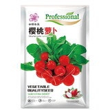 小镇有花樱桃萝卜种子20克 蔬菜种子春夏季播种盆栽阳台四季盆栽莱种籽