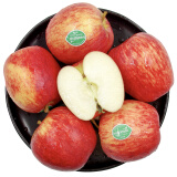 京鲜生新西兰皇家姬娜苹果6粒装 加力果 单果180-230g 生鲜水果