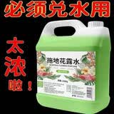 佳邦士【满屋飘香】桂花拖地清洁液拖地神器地面一拖净留香去味2.5L/瓶 2大瓶装（花漏水）