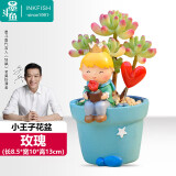 墨斗鱼多肉花盆仿陶瓷塑料小花盆桌面小盆栽创意可爱卡通花盆小王子玫瑰