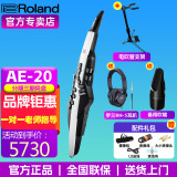 罗兰（Roland）罗兰AE20电吹管AE-30旗舰款吹管电子萨克斯管乐AE10升级款 AE20+吹嘴+吹管支架+耳机礼包