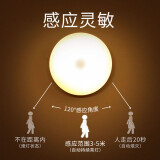 鸿视 led人体感应灯充电床头卧室家用全自动不插电声控光控壁灯小夜灯 【发1个】充电黄光200毫安