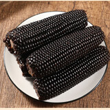 馋半仙庆阳合水甜糯香玉米10支真空鲜嫩苞米棒蔬菜早餐粗粮粘糯玉米棒 黑色玉米10支 （净重2200g）