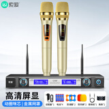 索爱（soaiy）SA-WK19无线话筒麦克风专业K歌一拖二家庭KTV唱歌音响U段手持带接收器工程级会议演讲演唱主持舞台
