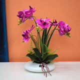 wo+ 高档新款手感PU蝴蝶兰仿真花艺客厅餐桌花电视柜装饰花假花 白色扁陶瓷盆+紫红色蝴蝶兰