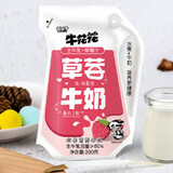 花花牛花花牛 牛花花草莓牛奶200g*12袋水果味椰子奶早餐奶牛奶 草莓味 12袋