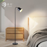 姿灯（ZIDENG）落地灯客厅卧室ins风创意床头灯现代简约网红书房LED立式灯具