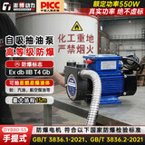 澎博动力（TURBOVOLT）防爆电动抽油泵220v自吸泵自吸水泵抽油机柴油泵抽油神器DYB80-55