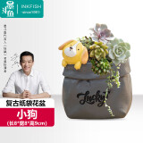 墨斗鱼多肉花盆仿陶瓷塑料创意小花盆桌面小盆栽可爱卡通复古纸袋小狗