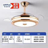 欧普（OPPLE）2025餐吊变频静音风扇灯led隐形吊扇灯一体客厅灯家用餐厅吊扇灯 电眼金 48寸小爱语音变频三色