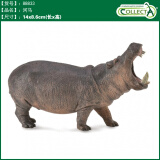 COLLECTA英国CollectA我你他仿真野生动物合集模型玩具认知 88833河马